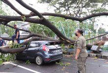 Photo of Pemkot Tangerang Siapkan Klaim Bagi Korban Tertimpa Pohon